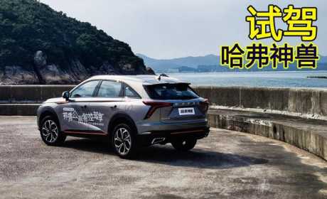 13万起的全新智能旗舰SUV，光雷达就有17个，试驾哈弗神兽