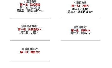 2021中国新能源汽车产品魅力指数排名，欧拉黑猫、长安逸 ...