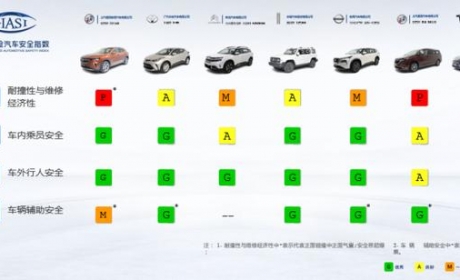 中保研最新一批测试结果出炉：特斯拉Model Y和日产奇骏还香？