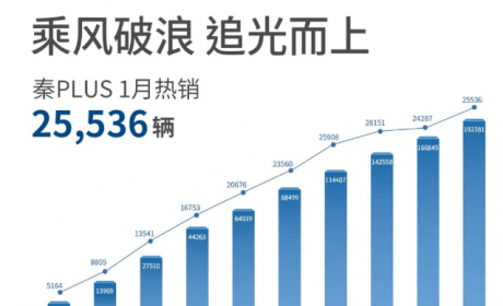 10万级别小型车格局大变，燃油车为何会让路海豚？