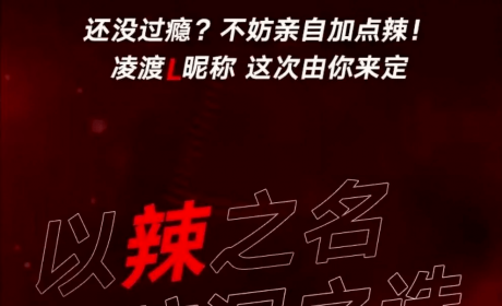 大众也玩投票起名？这款车时隔7年换代，或命名“辣馒头”