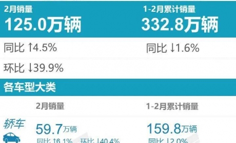 22年2月零售销量排行版（含厂商及车型同比、份额）