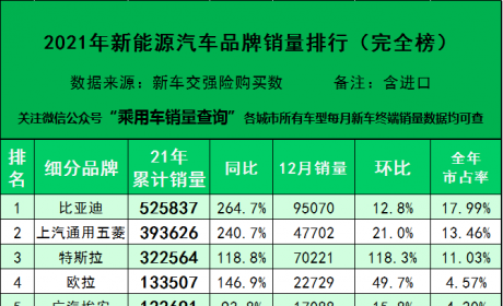 21年全年新能源汽车细分品牌销量排行（完全版）