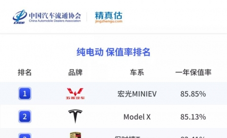 2021年度中国汽车保值率报告【新能源汽车榜】
