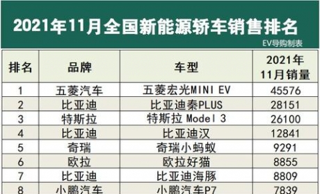 11月新能源汽车销量排行