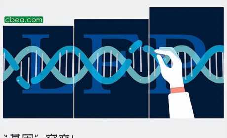 “基因”突变！新型磷酸铁锂加速爆发