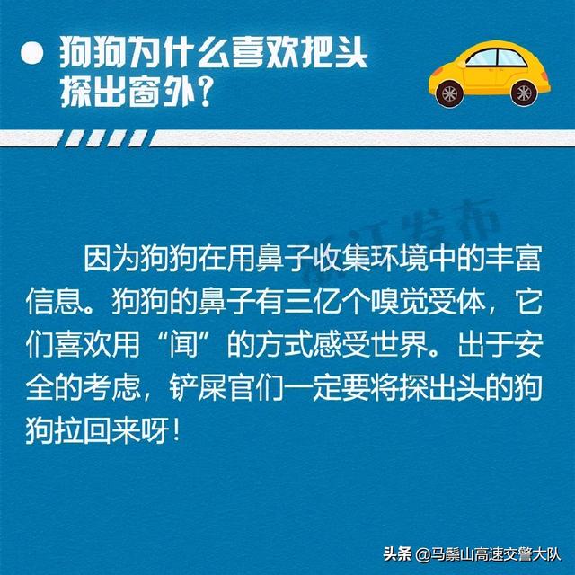 关于汽车，你不知道的9个冷知识