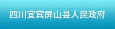 纤维素纤维、纱线，涡流纺纱、品牌纯涤纱同台竞技，大放异彩