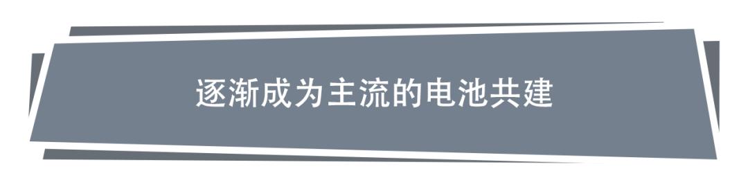 自建还是共建，聊一聊汽车电池的发展方向