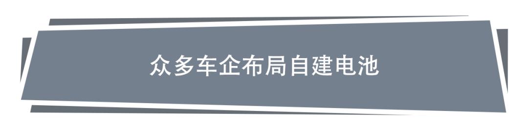 自建还是共建，聊一聊汽车电池的发展方向