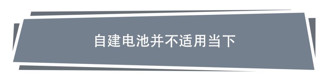 自建还是共建，聊一聊汽车电池的发展方向