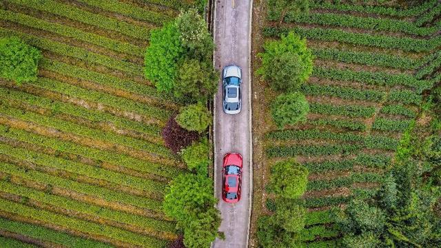 为啥比亚迪敢停产传统燃油车，试驾完汉DM-i以后我悟了