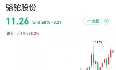 骆驼股份：亚洲最大汽车起动电池制造商，蓄电池龙头、世界第三