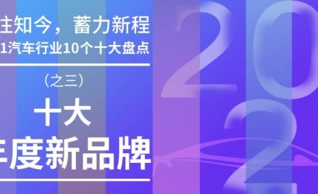 2021汽车行业十大年度新品牌：后生谁可畏？【10个十大盘点（三）】 ...