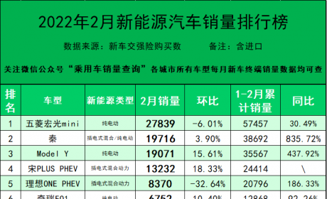 2022年2月新能源汽车分车型销量排行榜