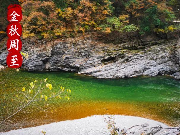 周至的“别样秋景”