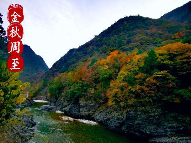 周至的“别样秋景”