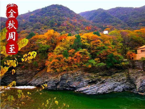 周至的“别样秋景”