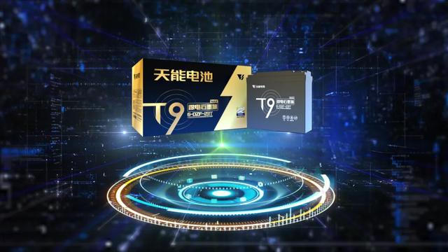 T9-MAX 极电石墨烯 | 质保24个月，极具划时代意义的高科技电池