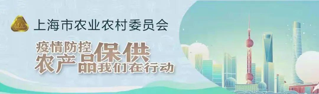 抖音短视频“朱家角镇万农村蔬菜烂在田里”，回应来了→