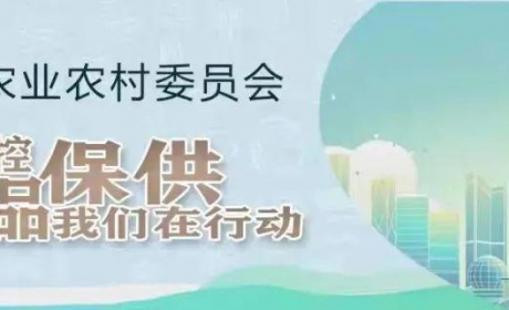 抖音短视频“朱家角镇万农村蔬菜烂在田里”，回应来了→