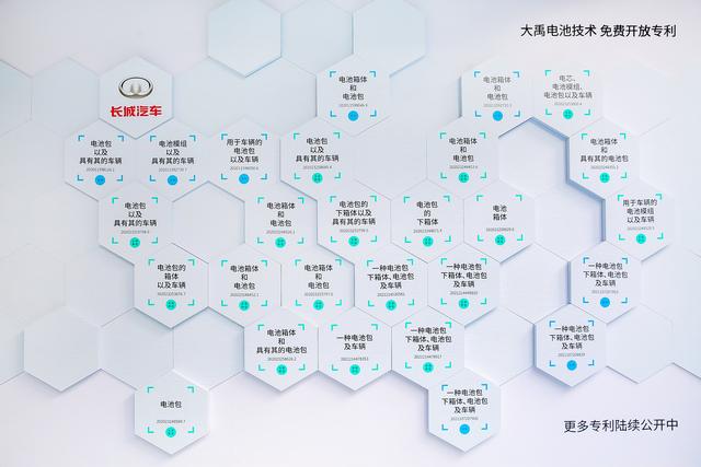 大禹、刀片、弹匣、琥珀/云母，五花八门的电池技术哪家强？