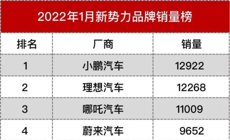 【车市观察】新能源补贴退坡的1月，小理哪销量均破万！