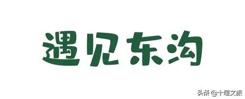 距离十堰市区40分钟藏着现实版“小森林”，美的令人心动