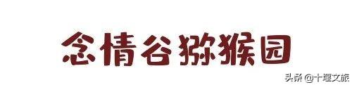 距离十堰市区40分钟藏着现实版“小森林”，美的令人心动