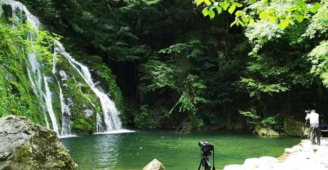 「十堰」“林业杯”征文摄影十二：那林、那山、那人——标湖林场别样风景