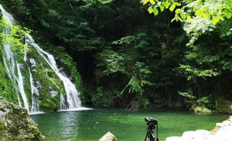 「十堰」“林业杯”征文摄影十二：那林、那山、那人——标湖林场别样风景