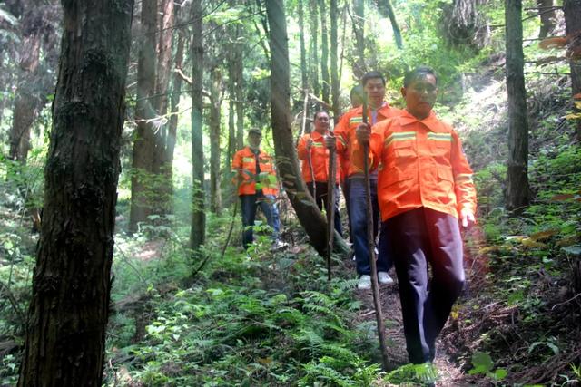 「十堰」“林业杯”征文摄影十二：那林、那山、那人——标湖林场别样风景