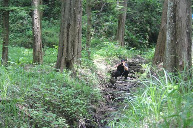 「十堰」“林业杯”征文摄影十二：那林、那山、那人——标湖林场别样风景