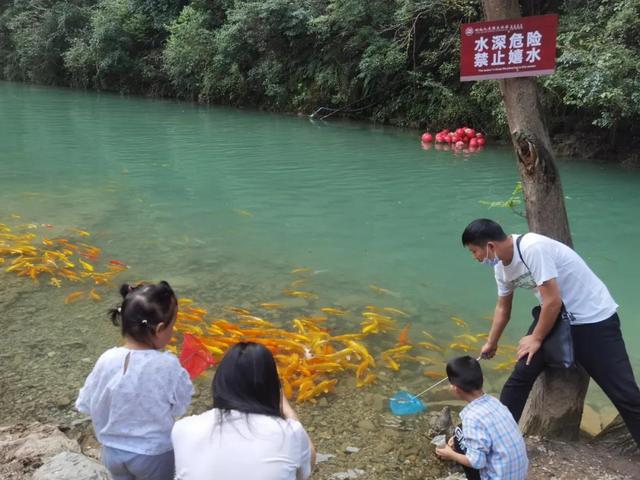 宁夏游客惊叹，十堰大山竟藏有如此美景