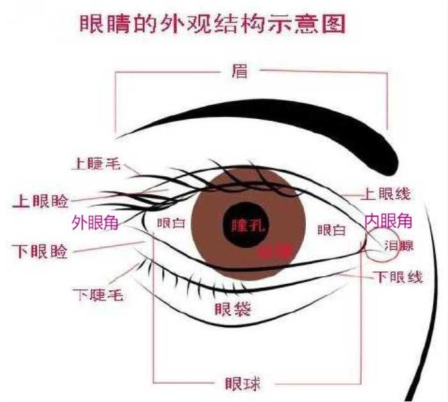 秘诀：眼型对美貌有多重要？明白眼型才懂什么眼妆最合适