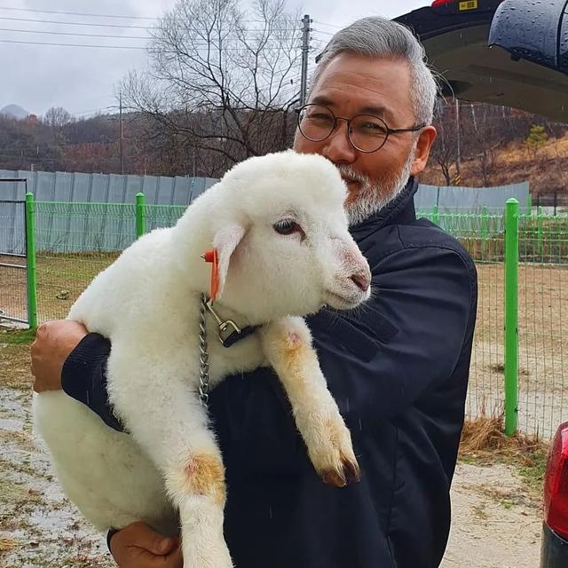 韩国羊咩咩咖啡馆里的小羊们，靠着洗澡之后白花花的萌照出圈了