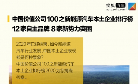 中国价值公司100之新能源车本土企业排行榜 | 12家 …