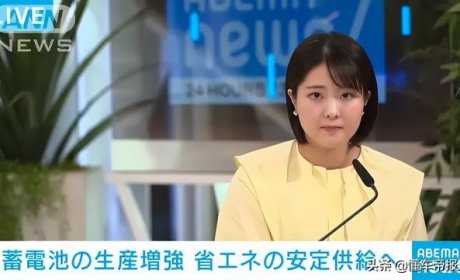 关注｜挑战中韩动力电池地位，日本：2030年占全球市场20％份额