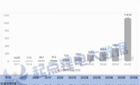 2021H1中国锂电负极材料TOP10