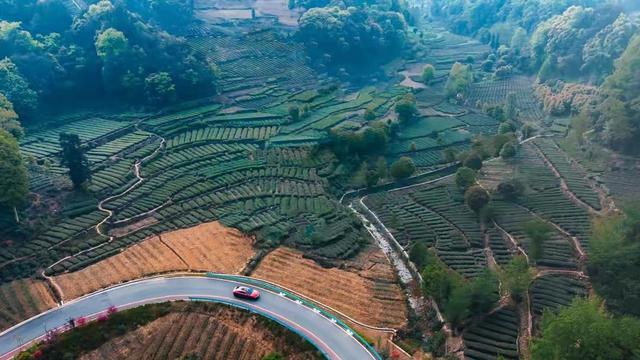 试驾比亚迪汉DM-i:可油可电，1300km续航，这台中大型轿车要火