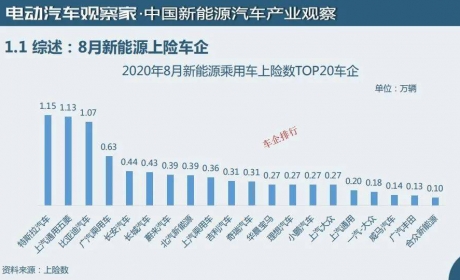 有数字更有真相：新能源汽车及动力电池观察8月版精华