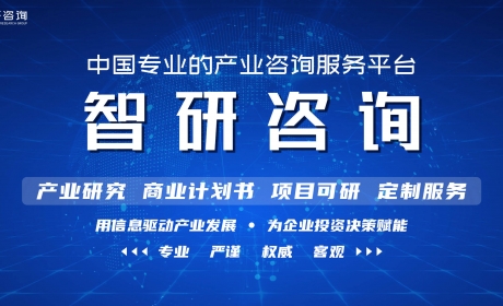 2022-2028年中国电动车控制器行业市场运行格局及战略咨询 ...