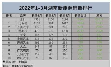 2022一季度新能源汽车销量白皮书：湖南市场谁主沉浮