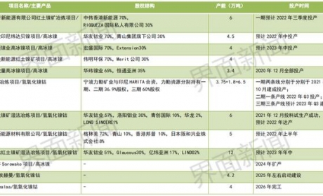 锂电巨头抢滩印尼，谁会最终胜出？