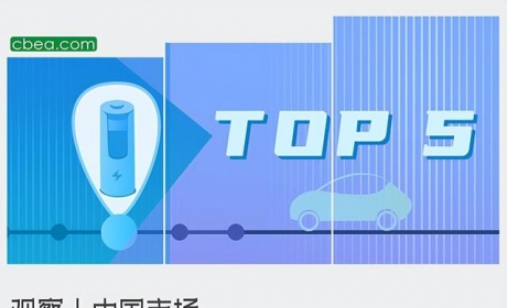 观察丨中国市场磷酸铁锂材料出货量TOP 5