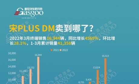 宋PLUS DM被卖到哪了？销量TOP20各城市排名