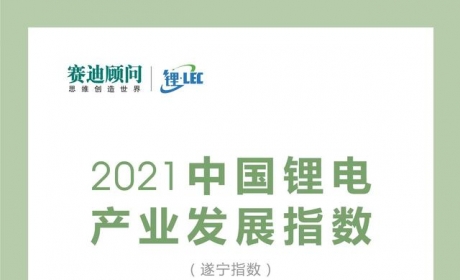 2021中国锂电产业发展指数