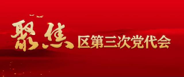 聚焦党代会丨中国共产党天津市宁河区第三次代表大会主席团举行第五次会议