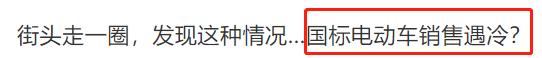 国标电动车销售现状，为何与专家预期不同？3个缺点车主难以接受