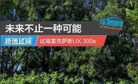 未来不止一种可能 试驾雷克萨斯UX 300e